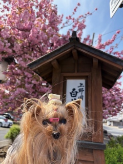 ���d�������