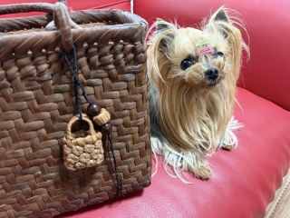 ���킢����?