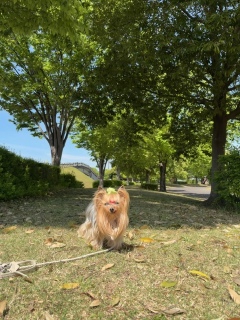 �؉A��������