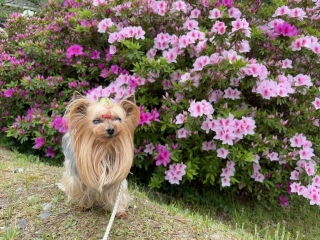 �J���~��O��