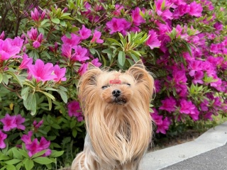 �v�v�v�v�v