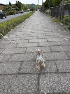 ������ہ􂨂���ہ�