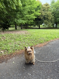 ���C�Ȃтт���