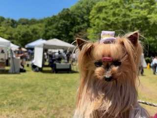 BOTANICAL PICNIC