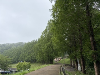 �T�͂���