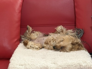 �z���[�����