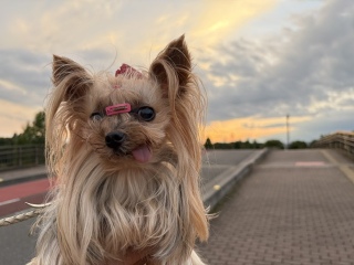 �[����ہ�