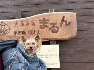 �H�̖��o
