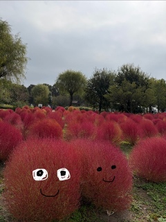 �Ȃ��悵