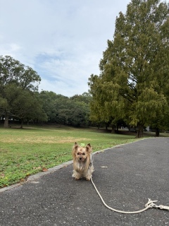 �ту��|